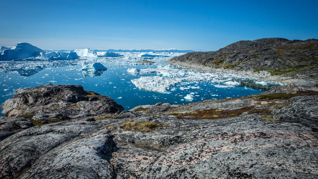 Isbjerge driver i Ilulissat Isfjord set fra Sermermiut