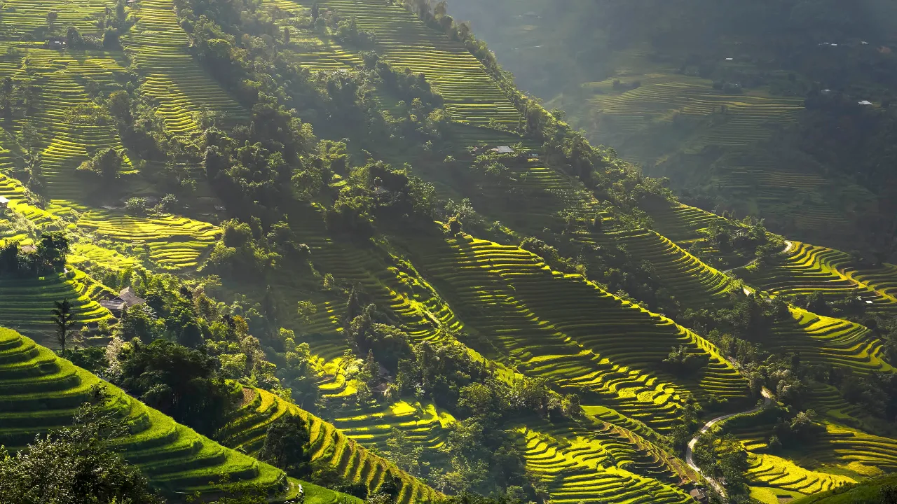 Sollyset falder over de grønne risterrasser i Ha Giang-provinsen Sollyset falder over de grønne risterrasser i Ha Giang-provinsen