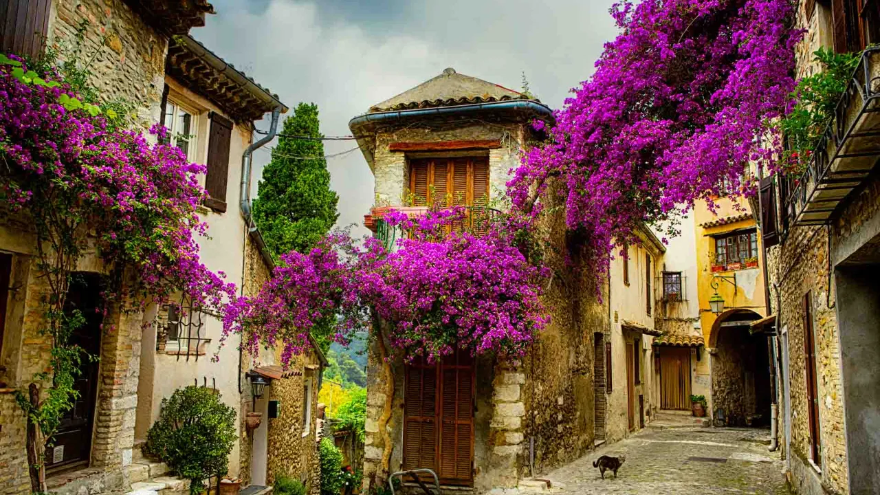Provence – middelalderlandsby med bougainvillea