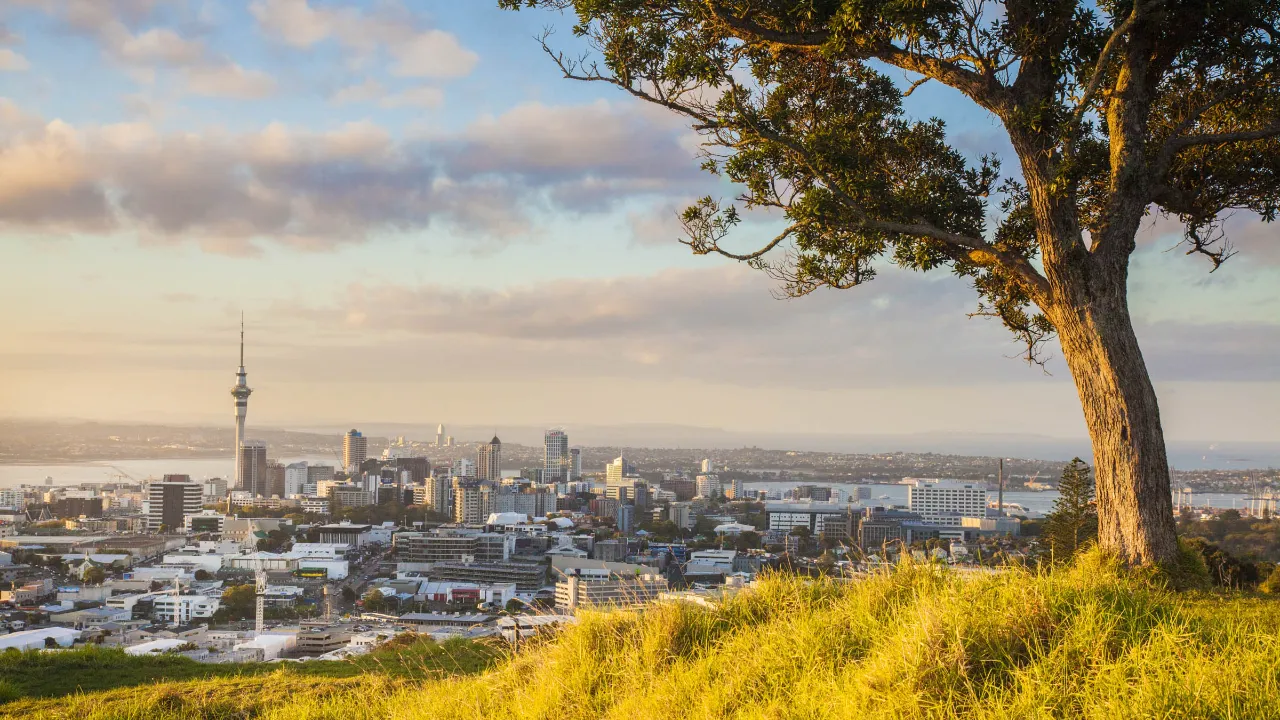 Auckland - City of Sails - med Sky Tower