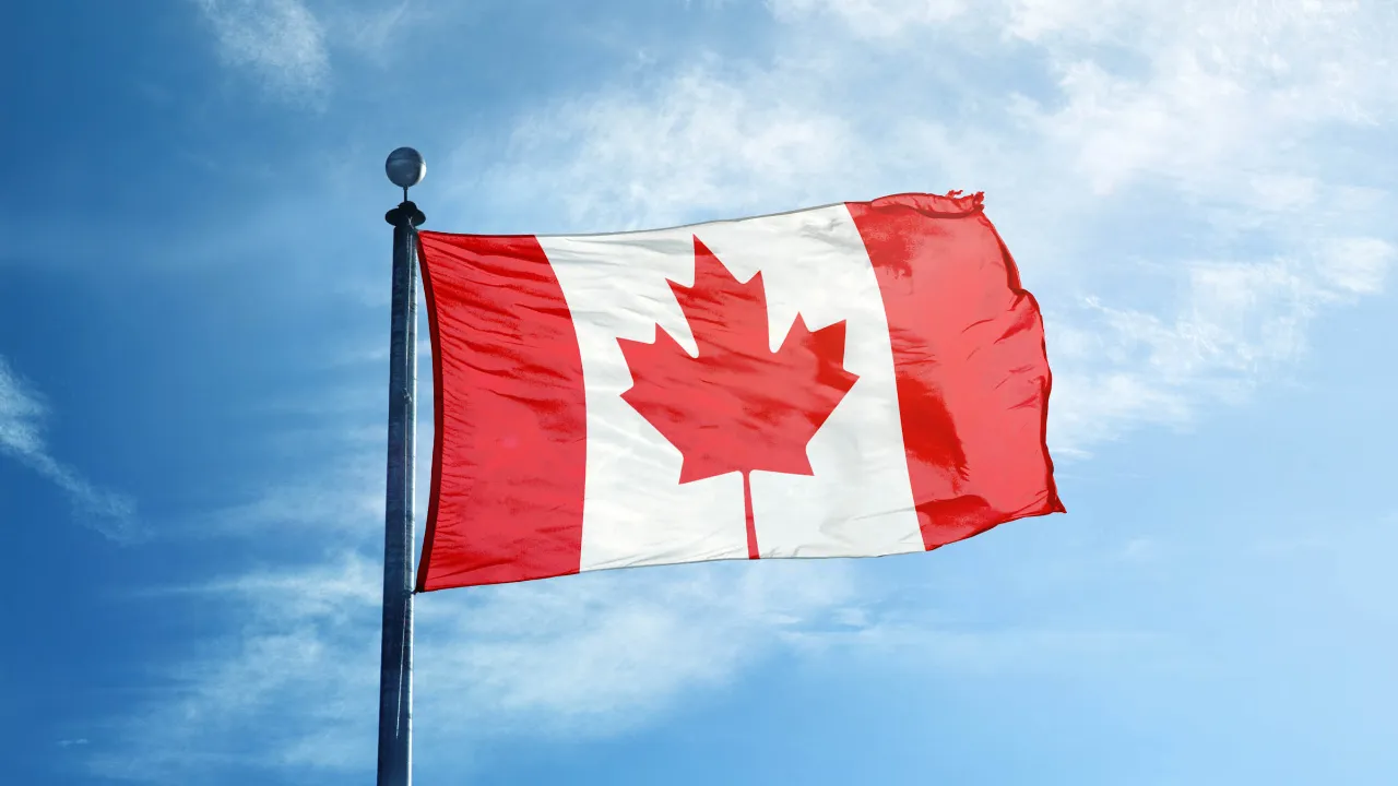 Det canadiske nationalflag - ofte kaldet "The Maple Leaf" - ahornbladet