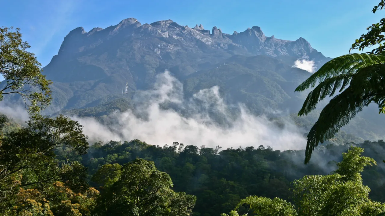 Mount Kinabalu hæver sig majestætisk over Borneos frodige tropiske regnskov Mount Kinabalu hæver sig majestætisk over Borneos frodige tropiske regnskov