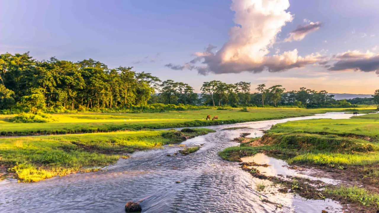 Chitwan National Park - i Nepals frodige lavland