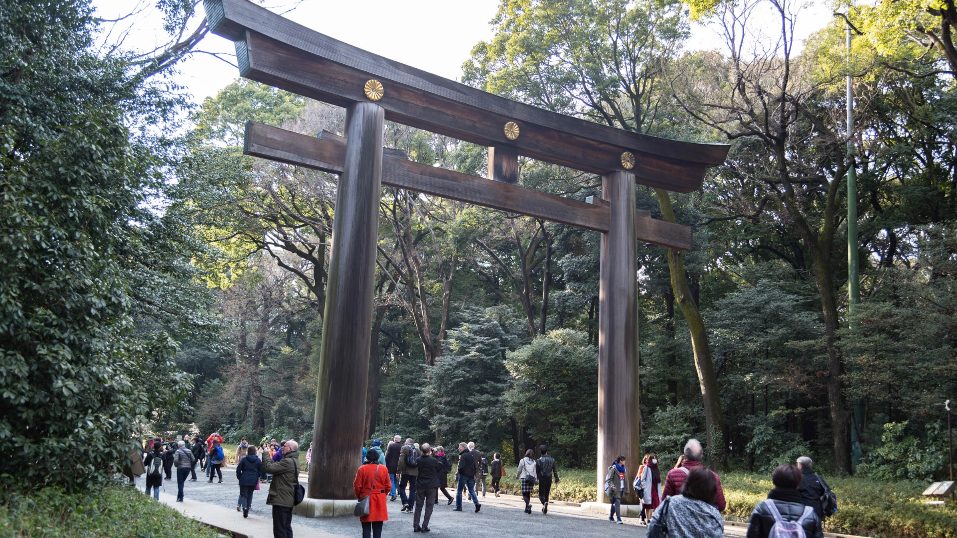 Ved Japans største shintohelligdom, Meiji Jingu