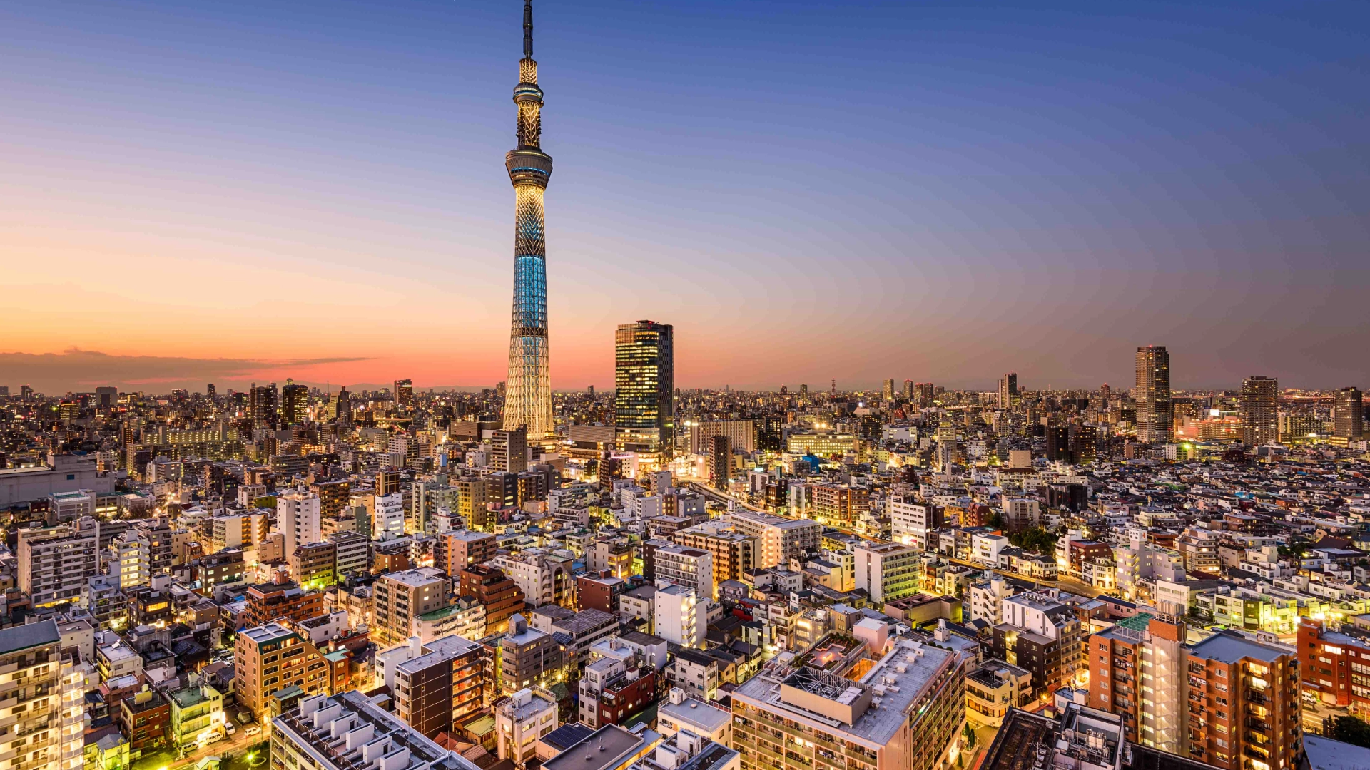 Panoramaudsigt over Tokyo med den ikoniske Tokyo Skytree som centrum