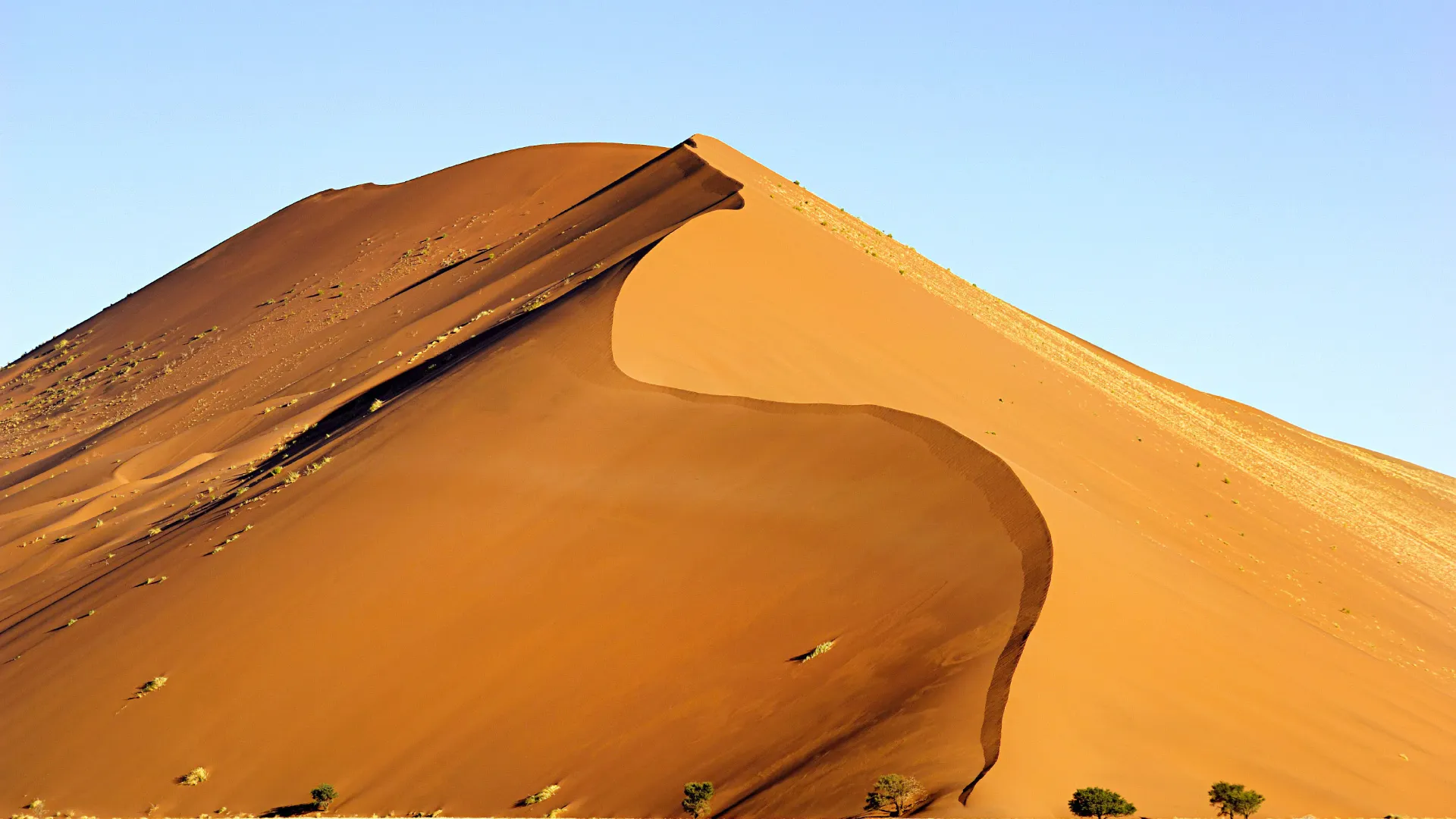 En af Sossusvleis ikoniske røde sandklitter rejser sig majestætisk mod den klare himmel En af Sossusvleis ikoniske røde sandklitter rejser sig majestætisk mod den klare himmel
