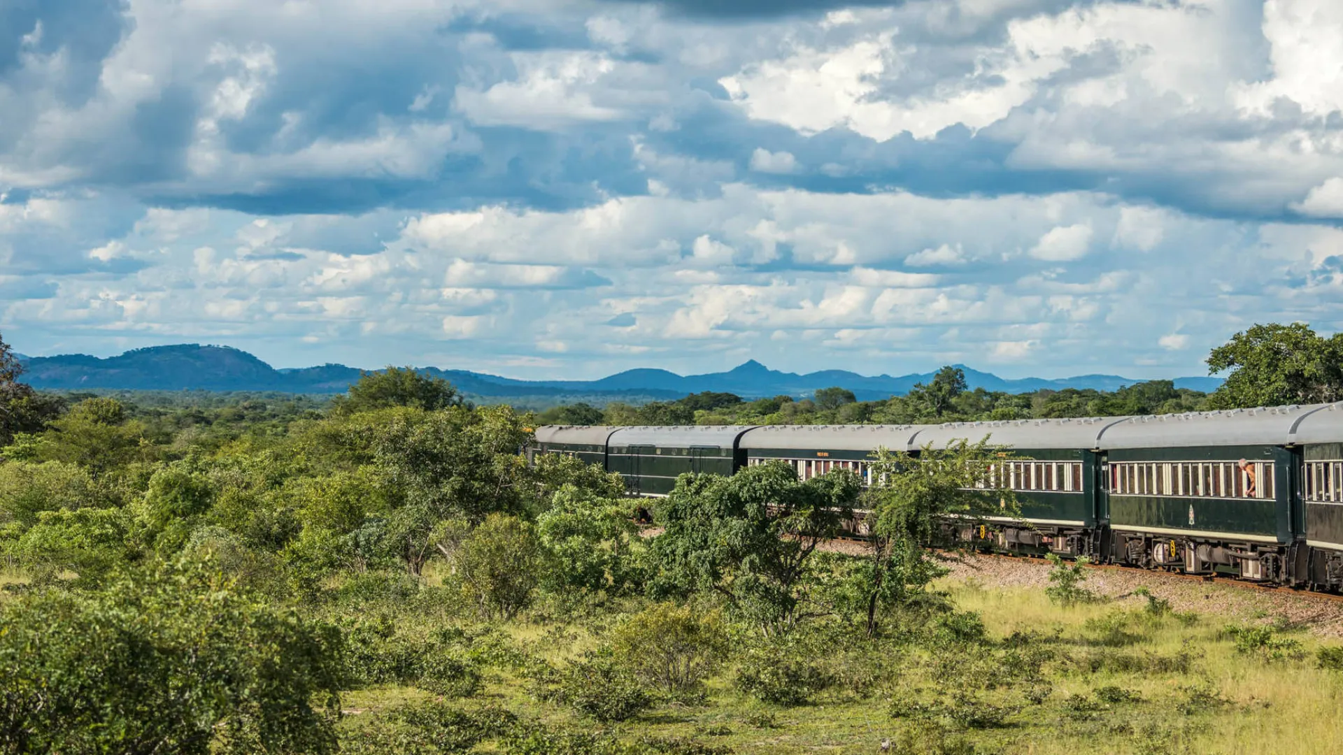 Togets grønne vogne falder godt ind i naturen Togets grønne vogne falder godt ind i naturen